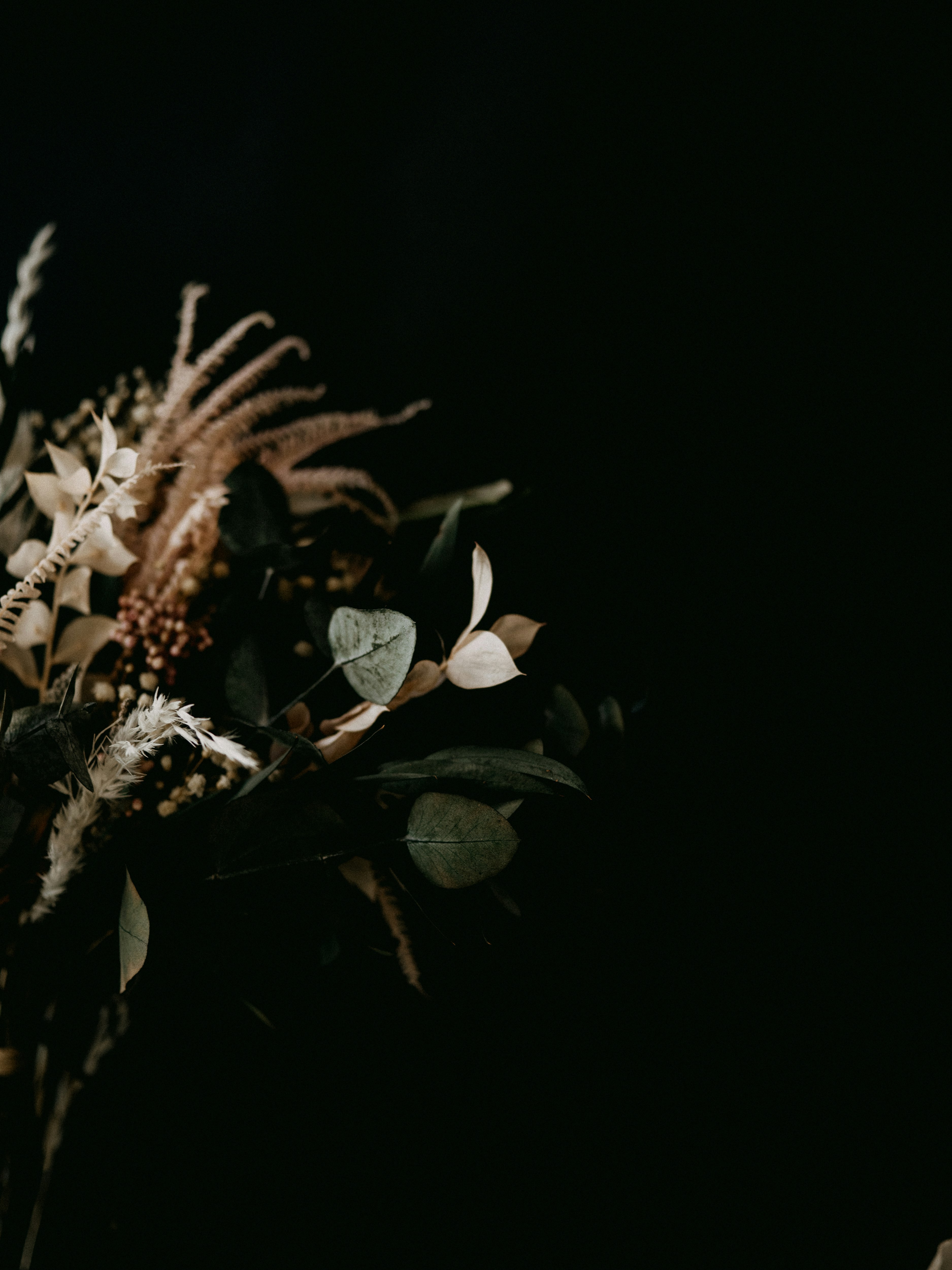 white flower with green leaves